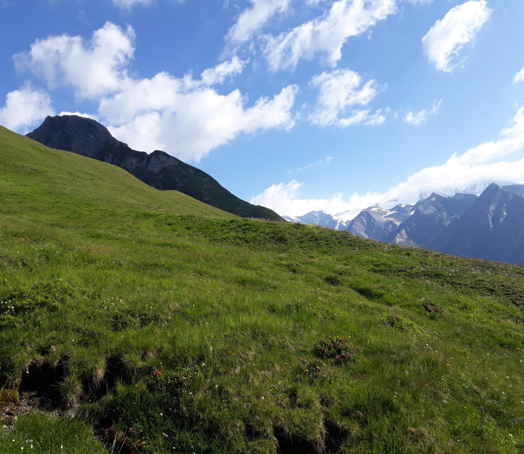 Sonnenhof Apartment Kals-am Großglockner Exterior foto